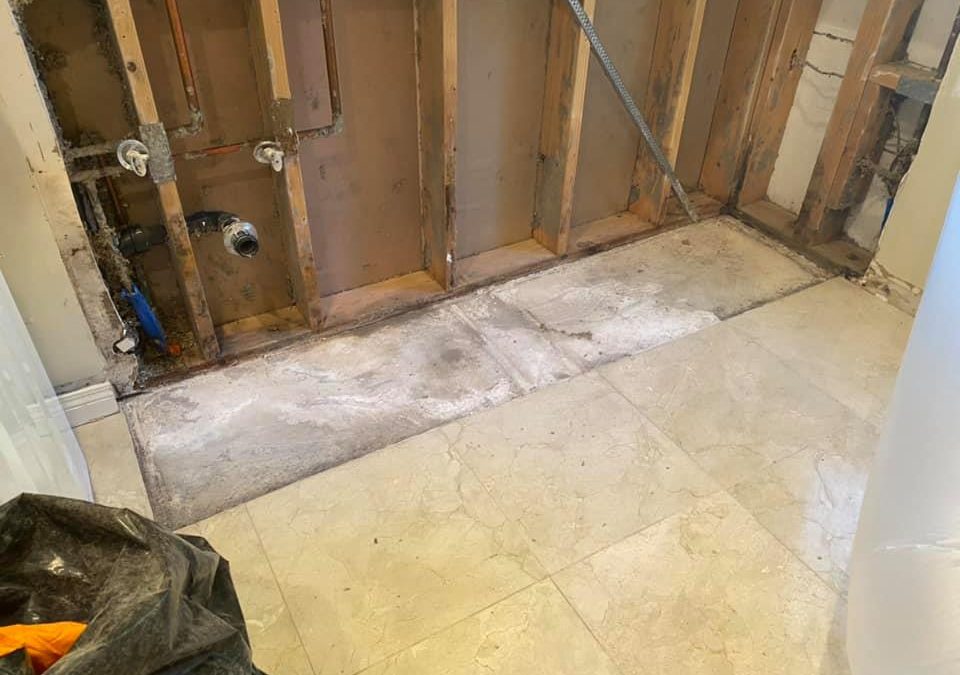 Scottsdale, AZ: Water Damage