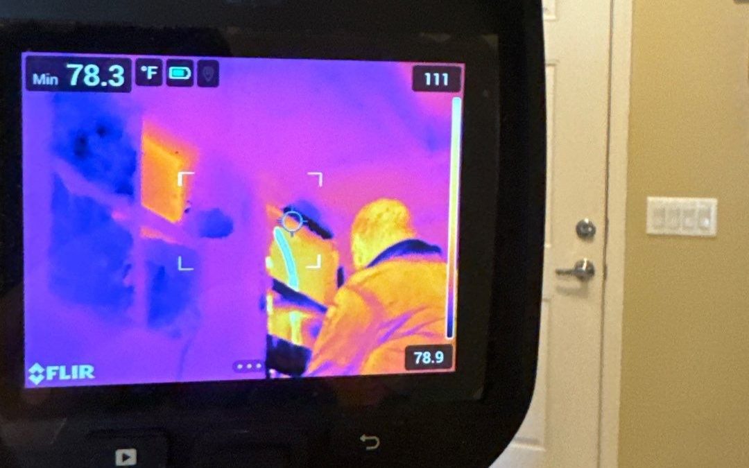 Uncover Hidden Water Damage with Thermal Imaging: A Smart Choice for Goodyear Homes