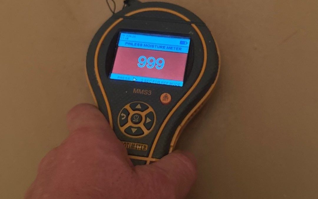 Goodyear Water Damage Service: Precision Dry-Outs with Pinless Moisture Meters