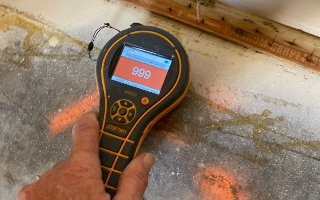 How Goodyear Water Damage Services Uses Pinless Moisture Meters for Accurate Dry-Outs