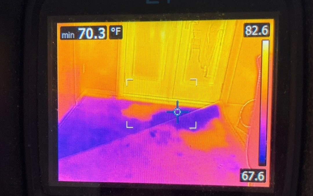 Goodyear Water Damage Services: Dry-Out Experts Using Thermal Imaging Technology