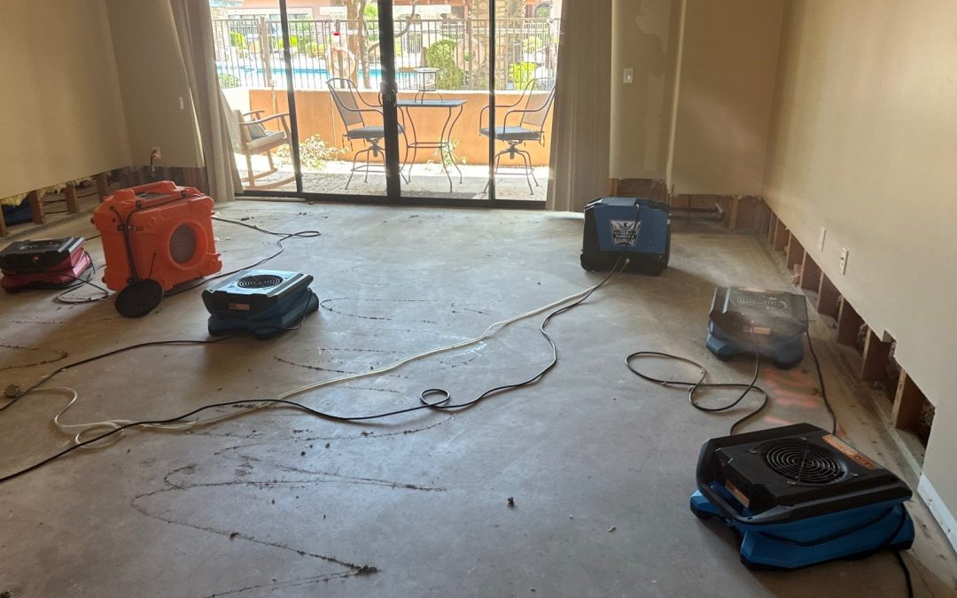 Dry-Out Services After Water Damage in Goodyear, AZ