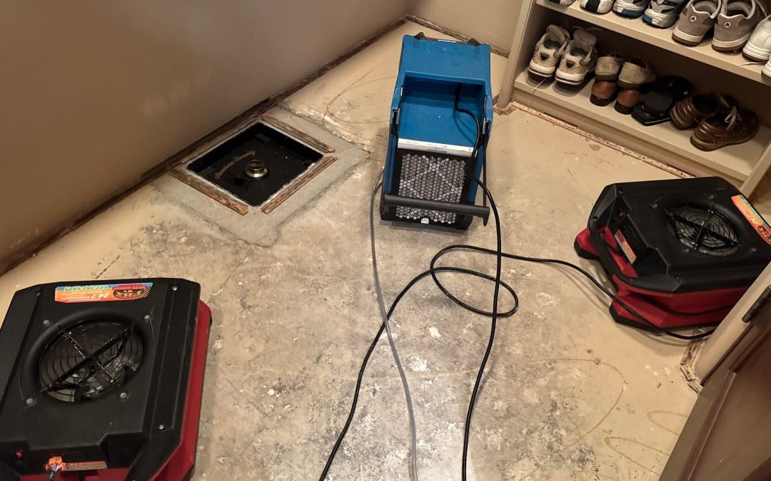 Drying Out a Closet After Water Damage in Goodyear