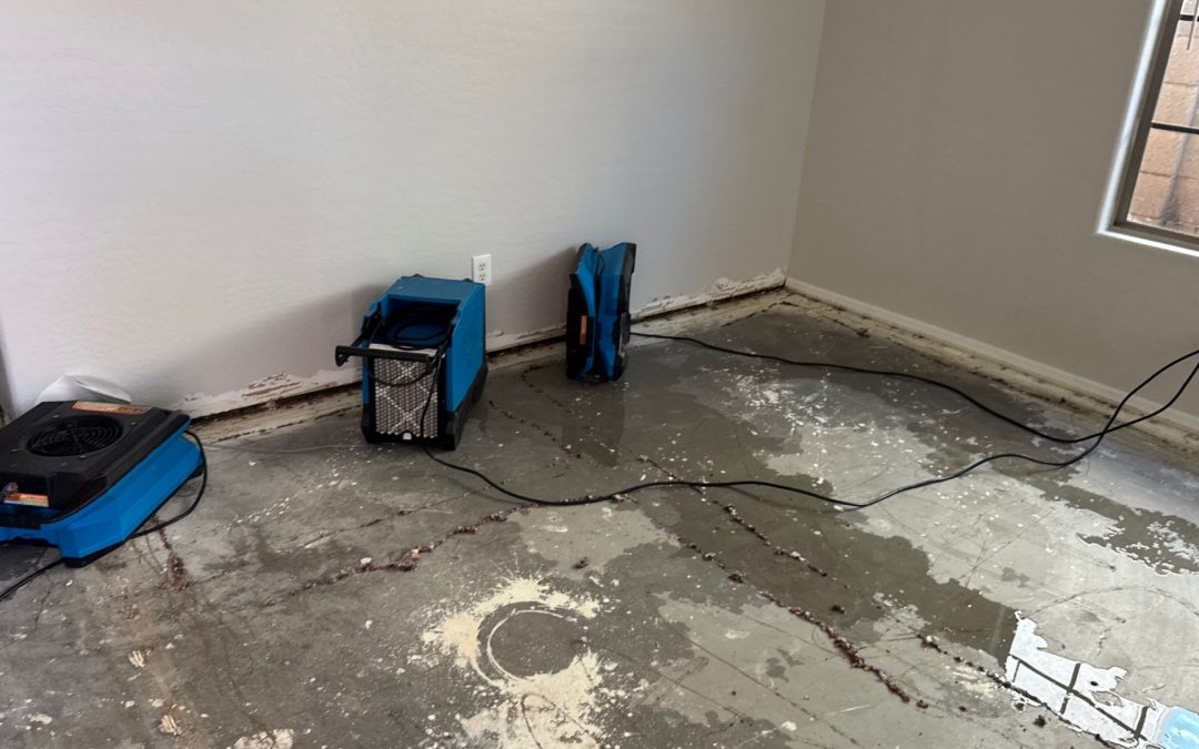 Rainstorm Water Damage Restoration in Goodyear, AZ