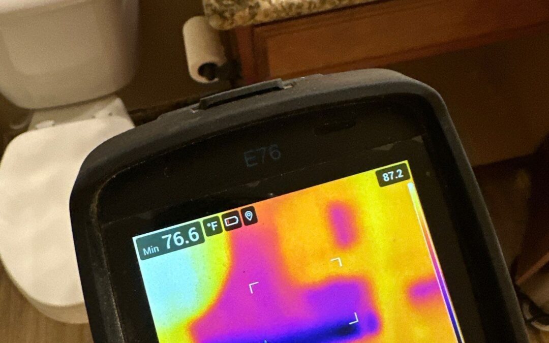 Preventing Mold After a Bathroom Leak Goodyear, AZ